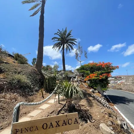 Oaxaca - Casa Iguana